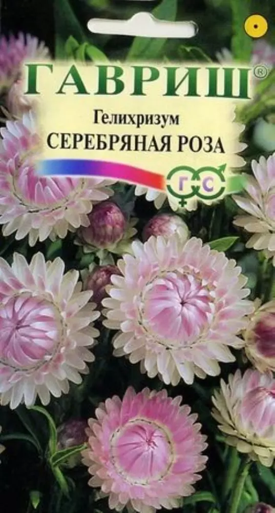 Семена цветов Гелихризум Серебрянная роза, ГАВРИШ 0,01 г ц/п