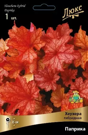 Корневище цветов Гейхера гибридная Паприка (I; 1 шт)