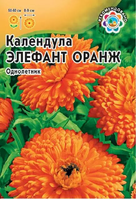 Семена цветов Календула Элефант Оранж 0.3грУдачные семена (Гавриш) цв