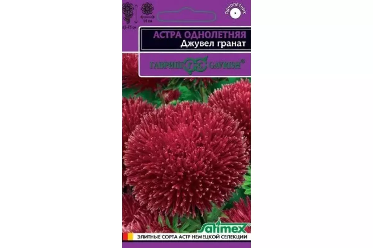 Семена цветов Астра Джувел гранат 0.05 гр (Гавриш)