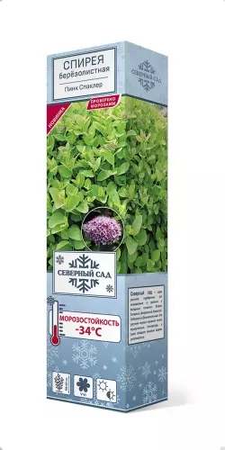 Саженец Спирея березолистная Пинк Спаклер (в тубе), Поиск