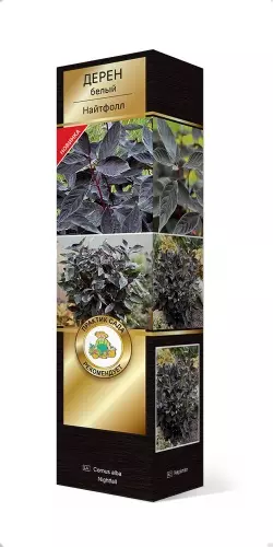 Саженец Дерен белый Найтфолл (в тубе), Поиск