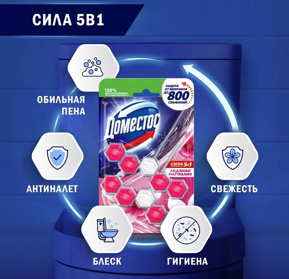 Средство для унитаза ДОМЕСТОС Power5 Ледяная Магнолия 2х55 г