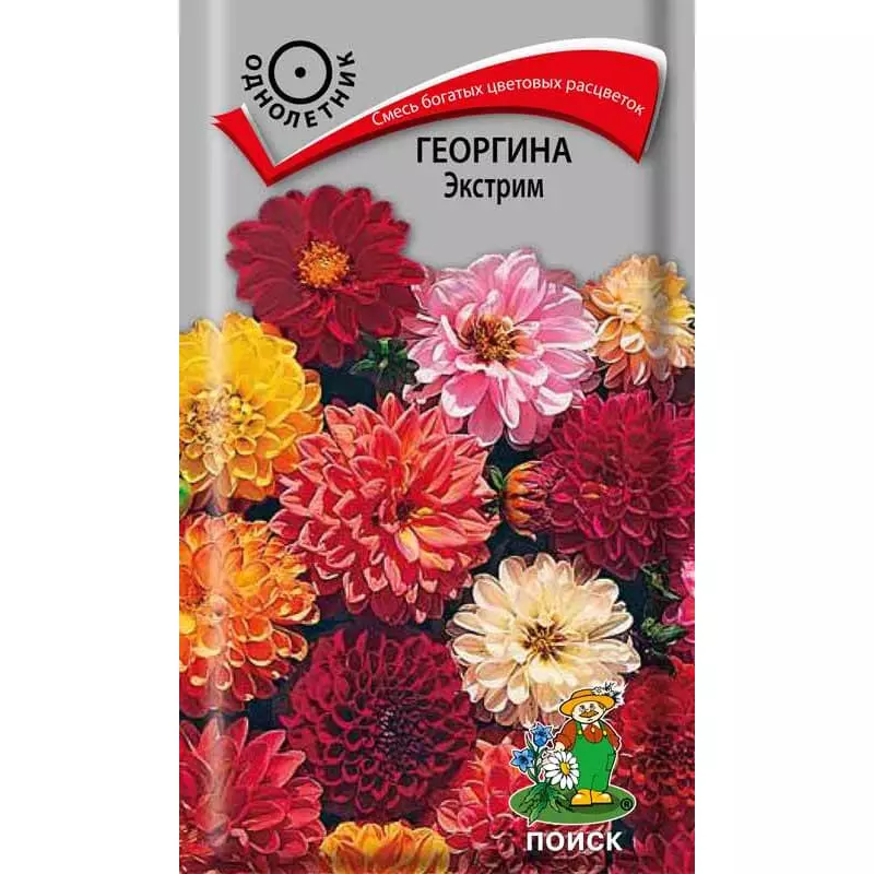 Семена цветов Георгина Экстрим 0.2г, смесь окрасок (Поиск)