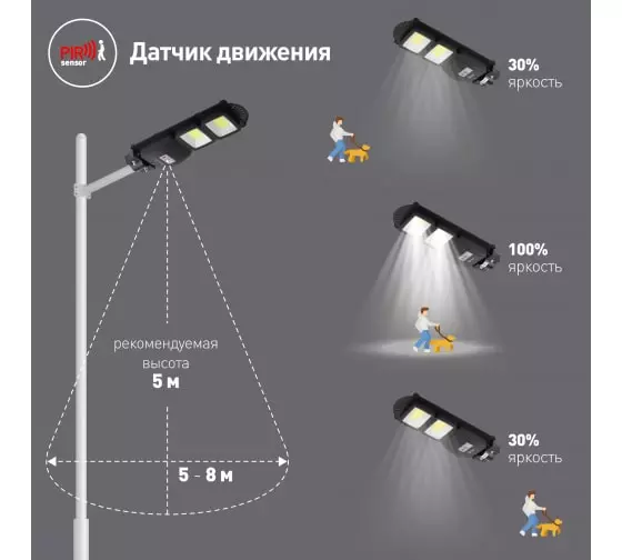 Консольный светильник ЭРА 40Вт 5000К IP66 на солнечной батарее датчик движения Б0046794