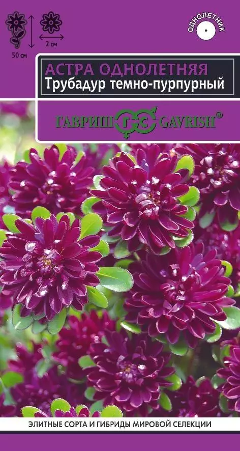 Семена цветов Астра Трубадур темно-пурпурный ГАВРИШ 0,05 г ц/п