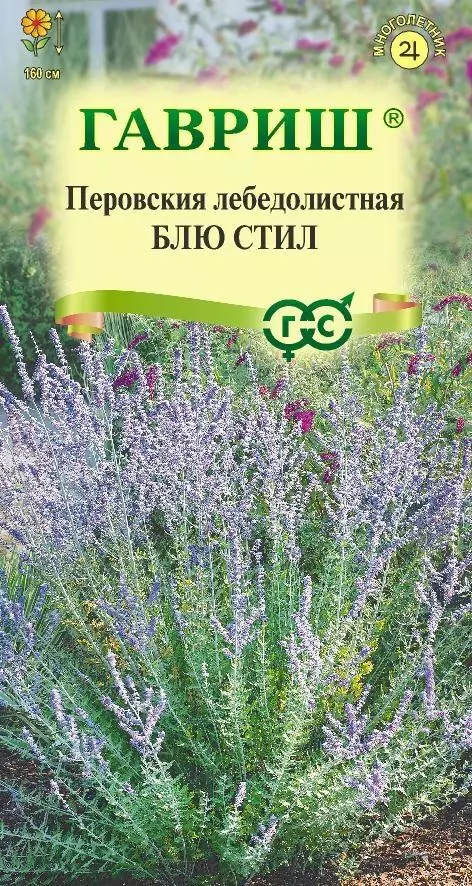 Семена цветов Перовския лебедолистная Блю Стил ГАВРИШ 3 шт ц/п