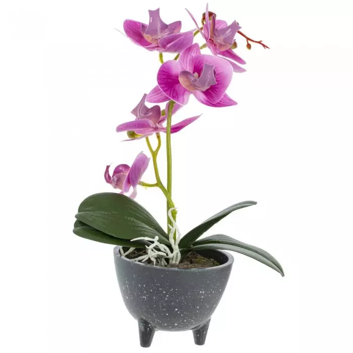 Цветочная композиция Орхидея, L17 W15 H27 см 772959