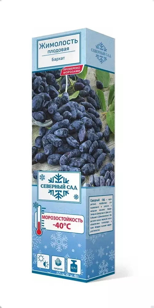 Саженец Жимолость съедобная Бархат, средний (в тубе), Поиск