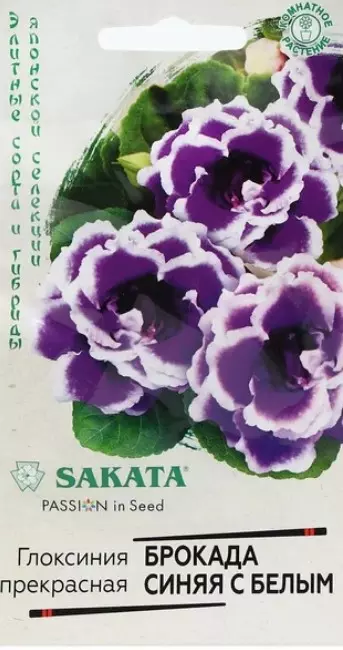 Семена цветов (комнатные) Глоксиния Брокада F1 Синяя с белым ГАВРИШ 4 шт ц/п