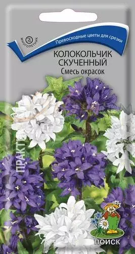 Семена цветов Колокольчик скученный, смесь окрасок, ПОИСК ц/п 0,05 г