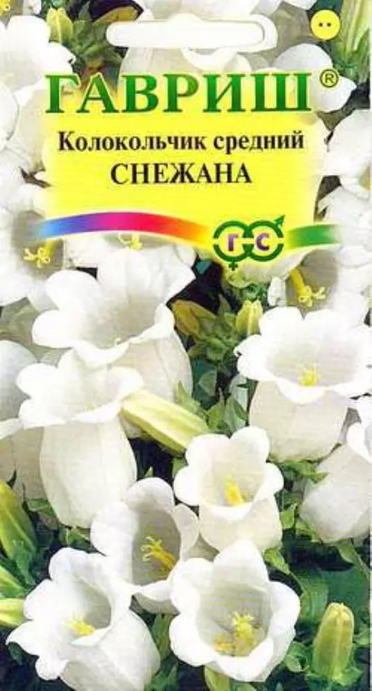 Семена цветов Колокольчик Снежана средний 0.05 гр (Гавриш) цв