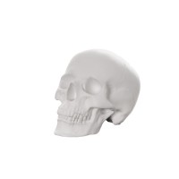 Гипсовая фигура Малевичъ череп анатомический