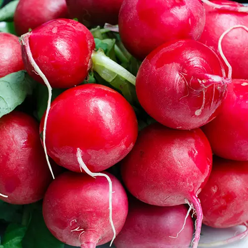 Семена Редис Рубин Агрофирма АЭЛИТА 2 г б/п