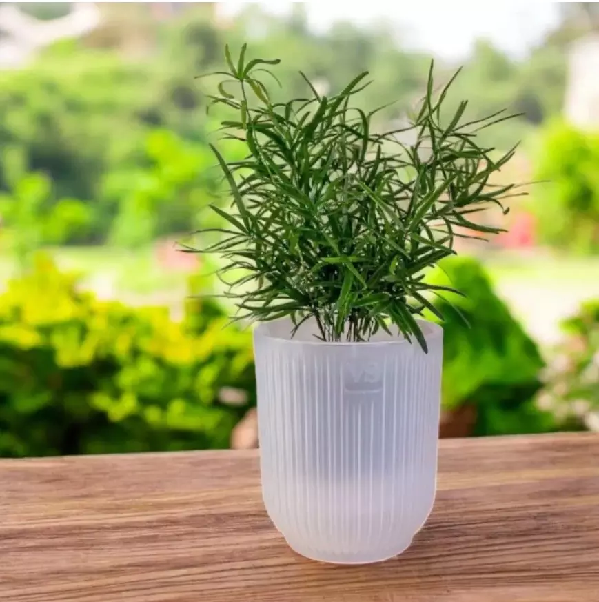 Горшок для цветов 1,6 л с фитильным поливом, D135 мм, дренаж, Эйва VipSet АМО-1,6-00 прозрачный