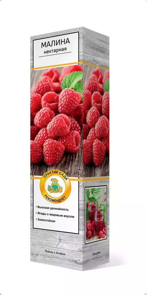 Малина нектарная (малино-поляничный гибрид)
