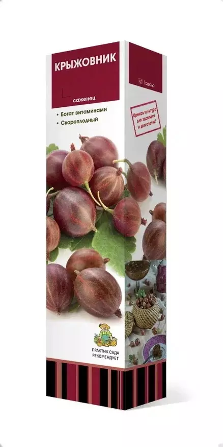 Саженец Крыжовник Командор (в тубе), Поиск