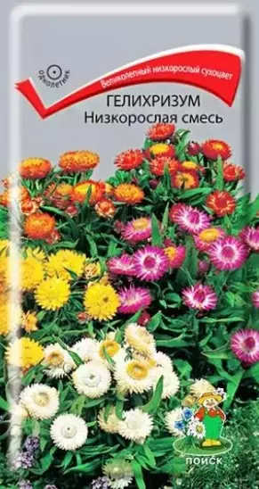 Семена цветов Гелихризум смесь низкорослая, ПОИСК 0,1 г ц/п