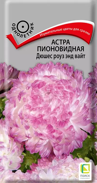 Семена цветов Астра Дюшес Роуз энд вайт 0.3гр(Поиск) цв