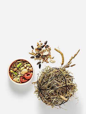 Овощи, грибы и зелень