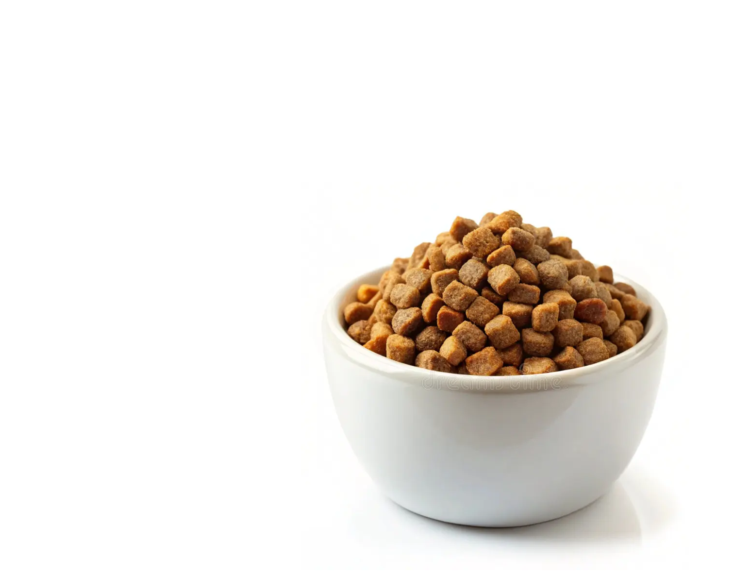 Собачий корм