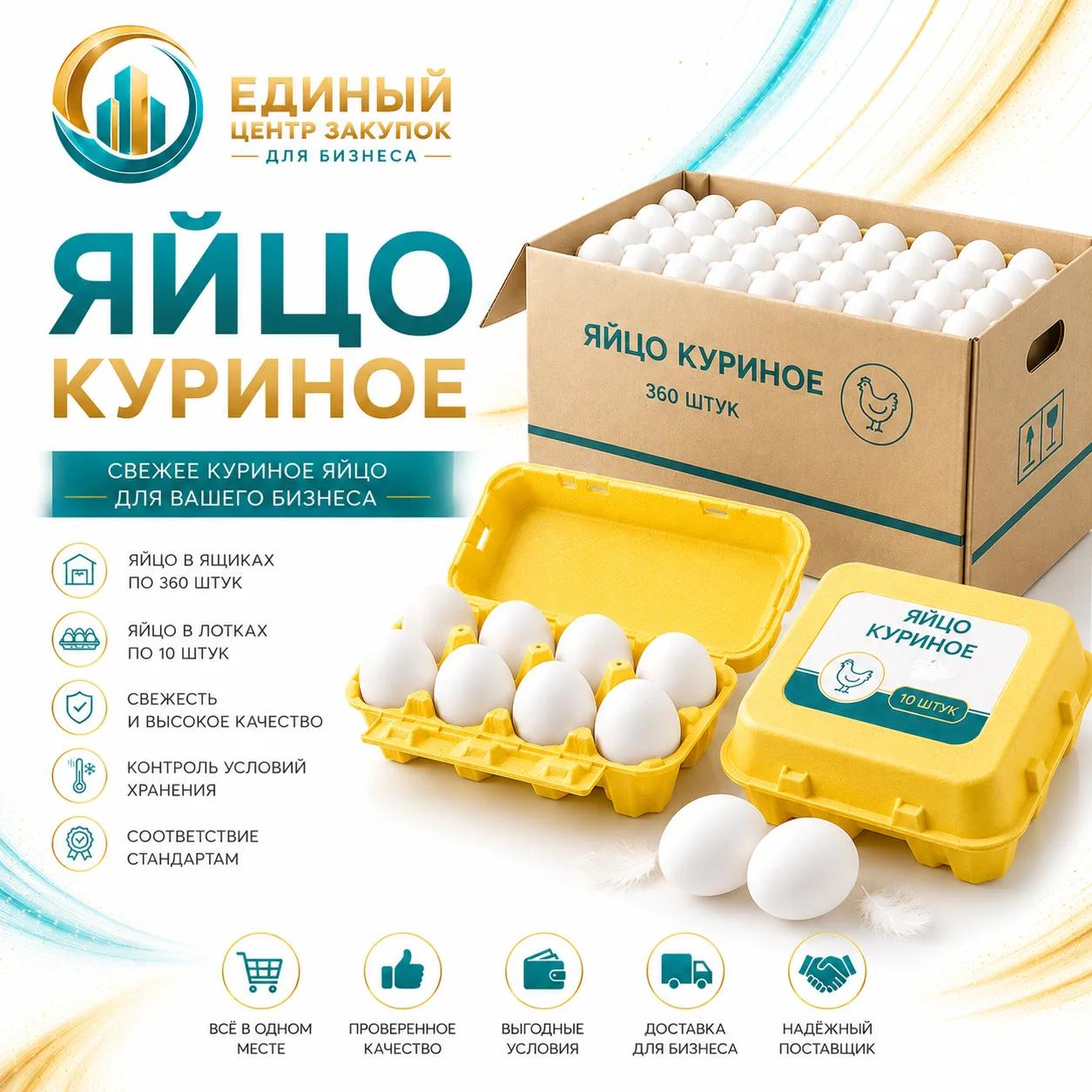 Яйцо