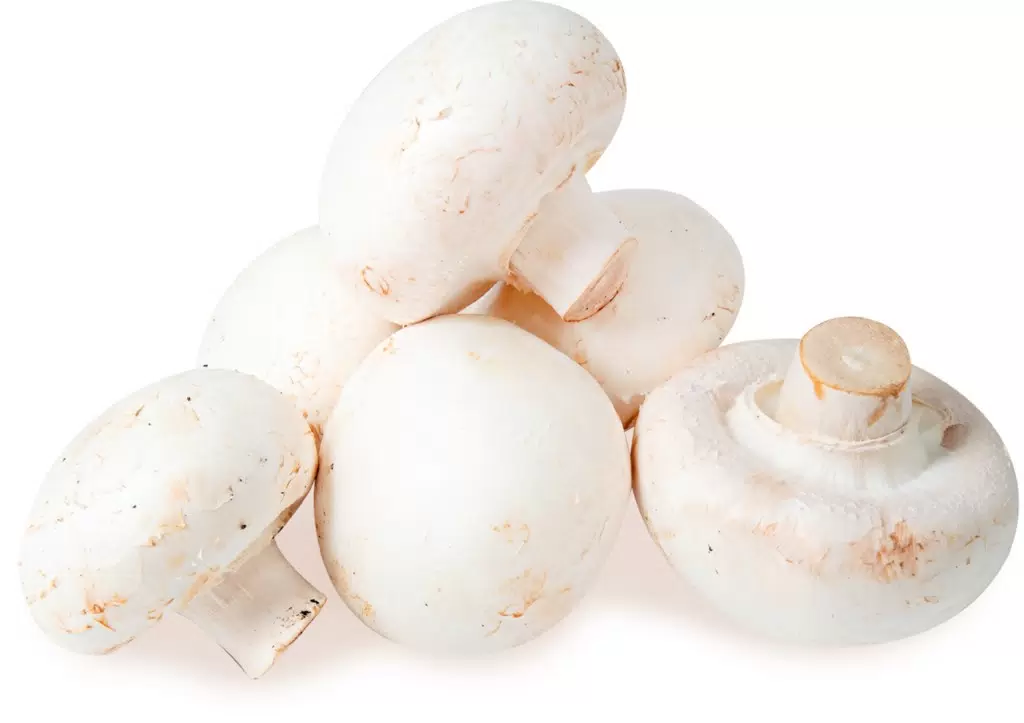 Шампиньоны свежие