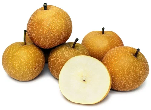 Груша Японка коричневая