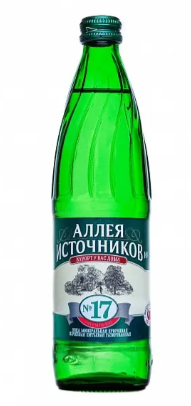 Вода минеральная Аллея Источников Ессентуки №17 газированная 500мл