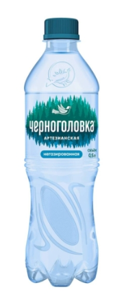Вода питьевая Черноголовка негазированная 500мл
