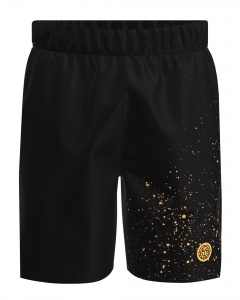 Шорты мужские Paris 2024 7 дюймов