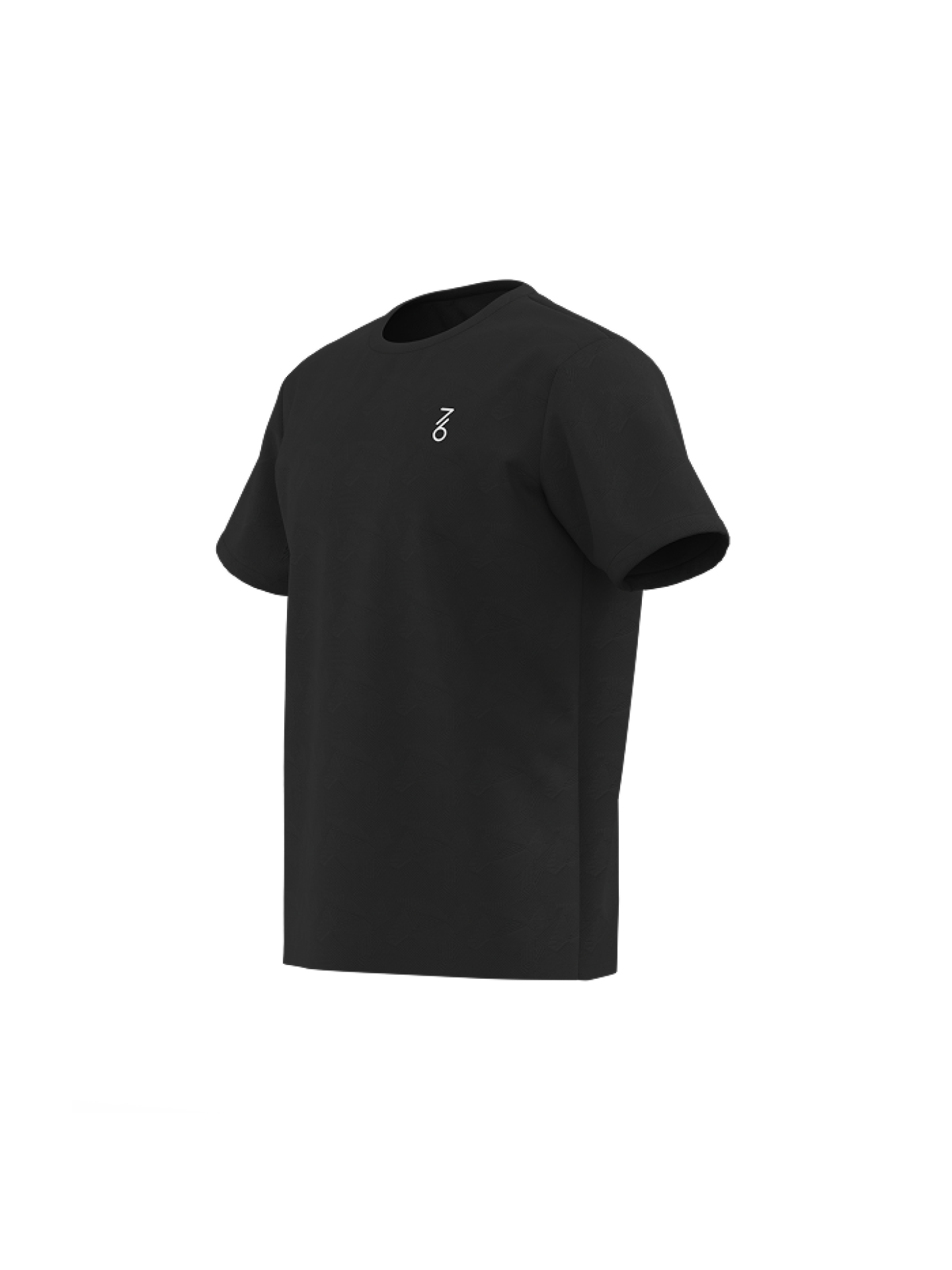 Футболка мужская 7/6 Loddy T-shirt 2.0 Ebony