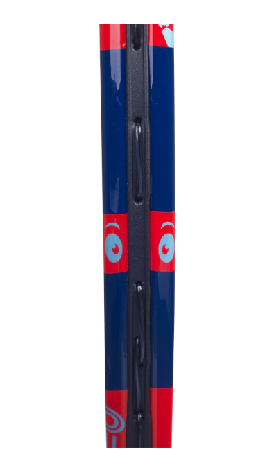 Babolat BALLFIGHTER 19