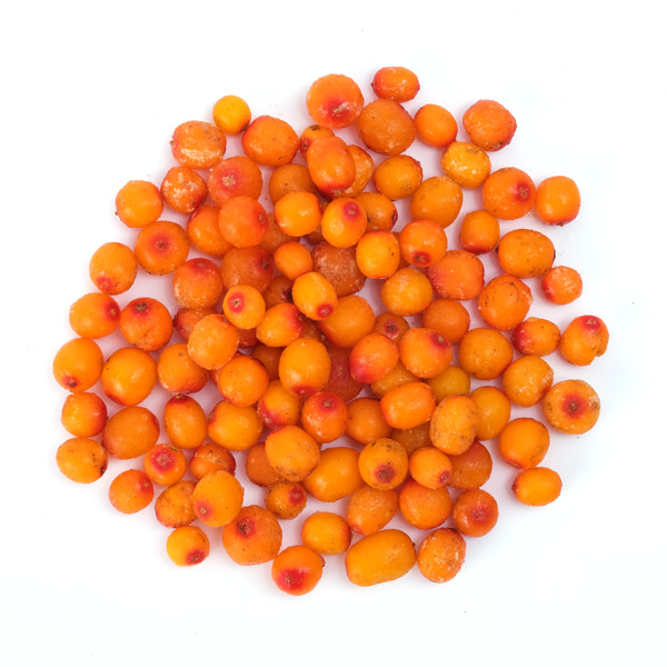 Облепиха лесная з/м