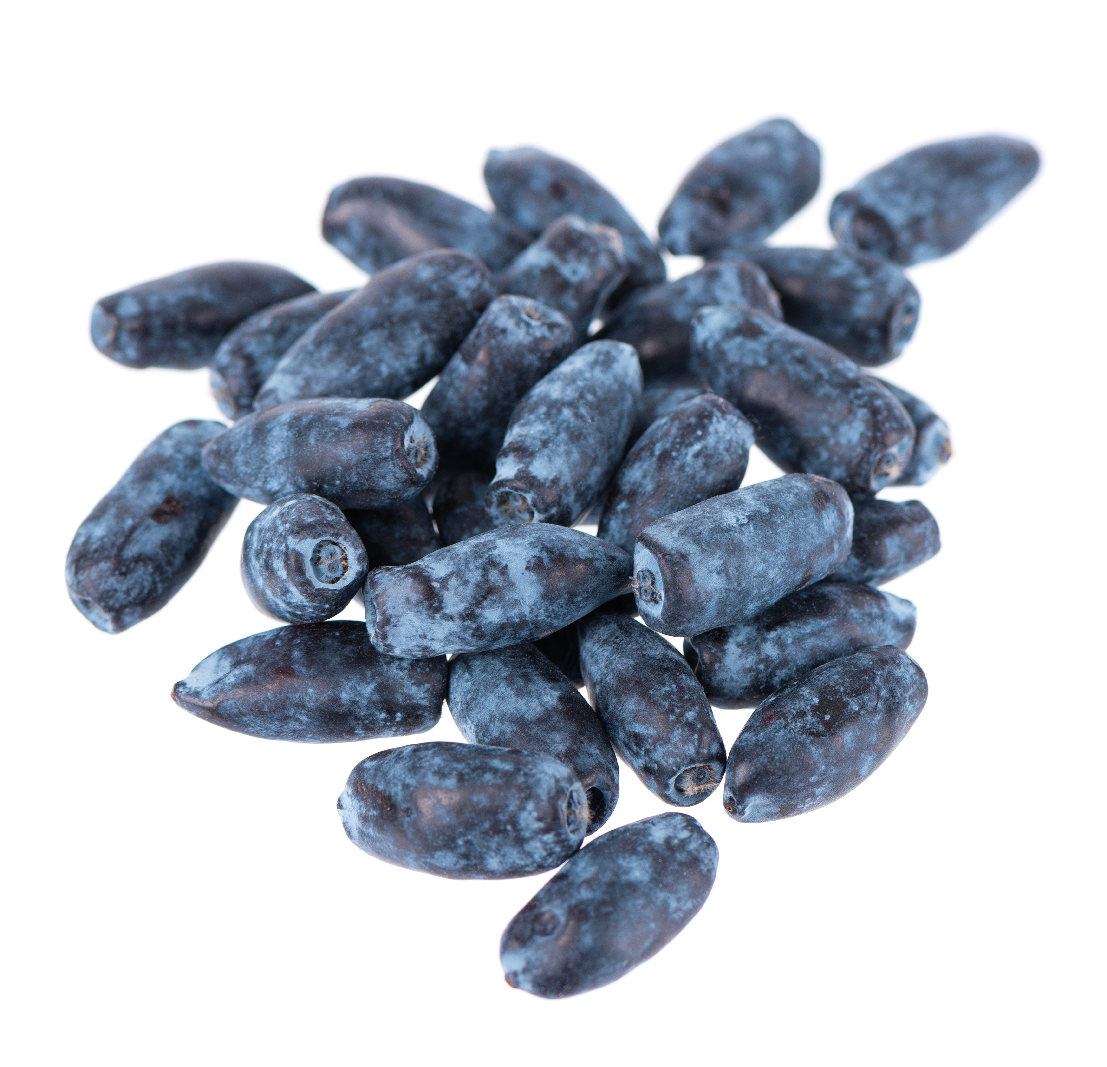 Жимолость лесная з/м