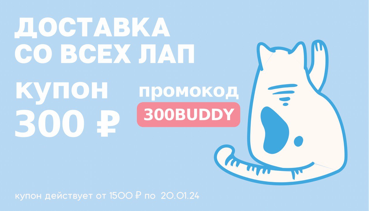 Купон на скидку 300 ₽