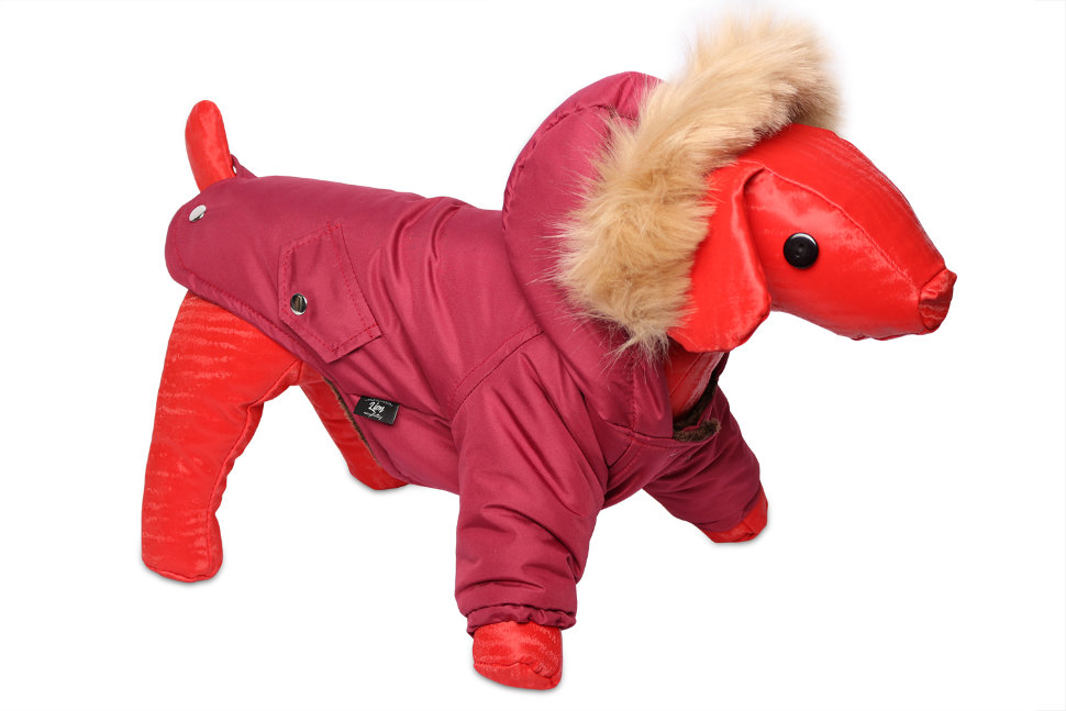 Зимняя куртка Lion Winter для собак L спинка 27-29 см LP0570
