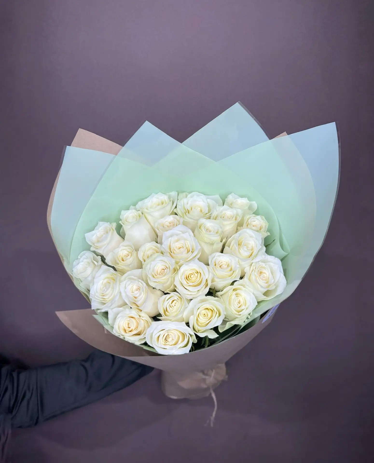 Роза Кения 50 см