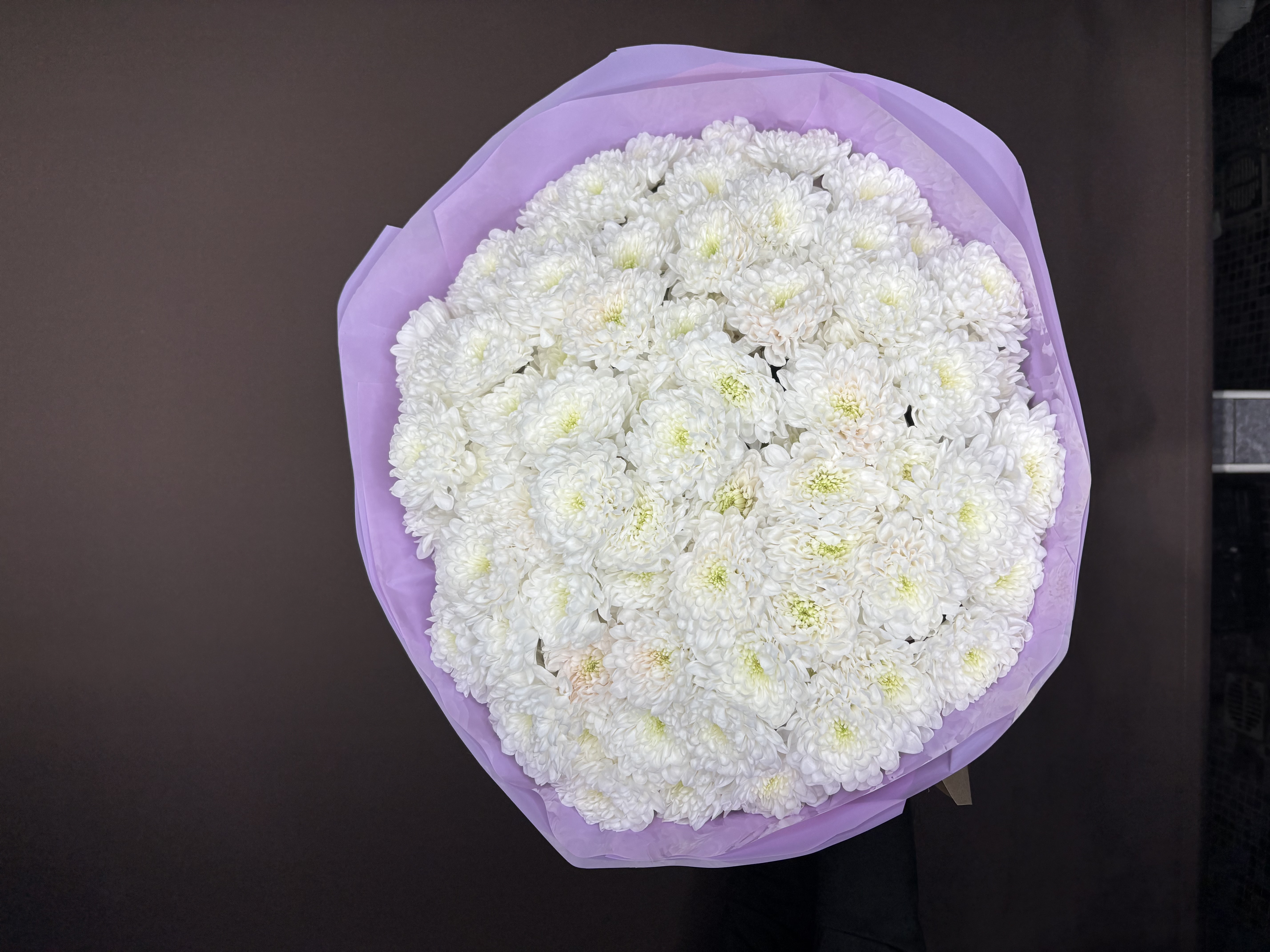 Хризантема букетом