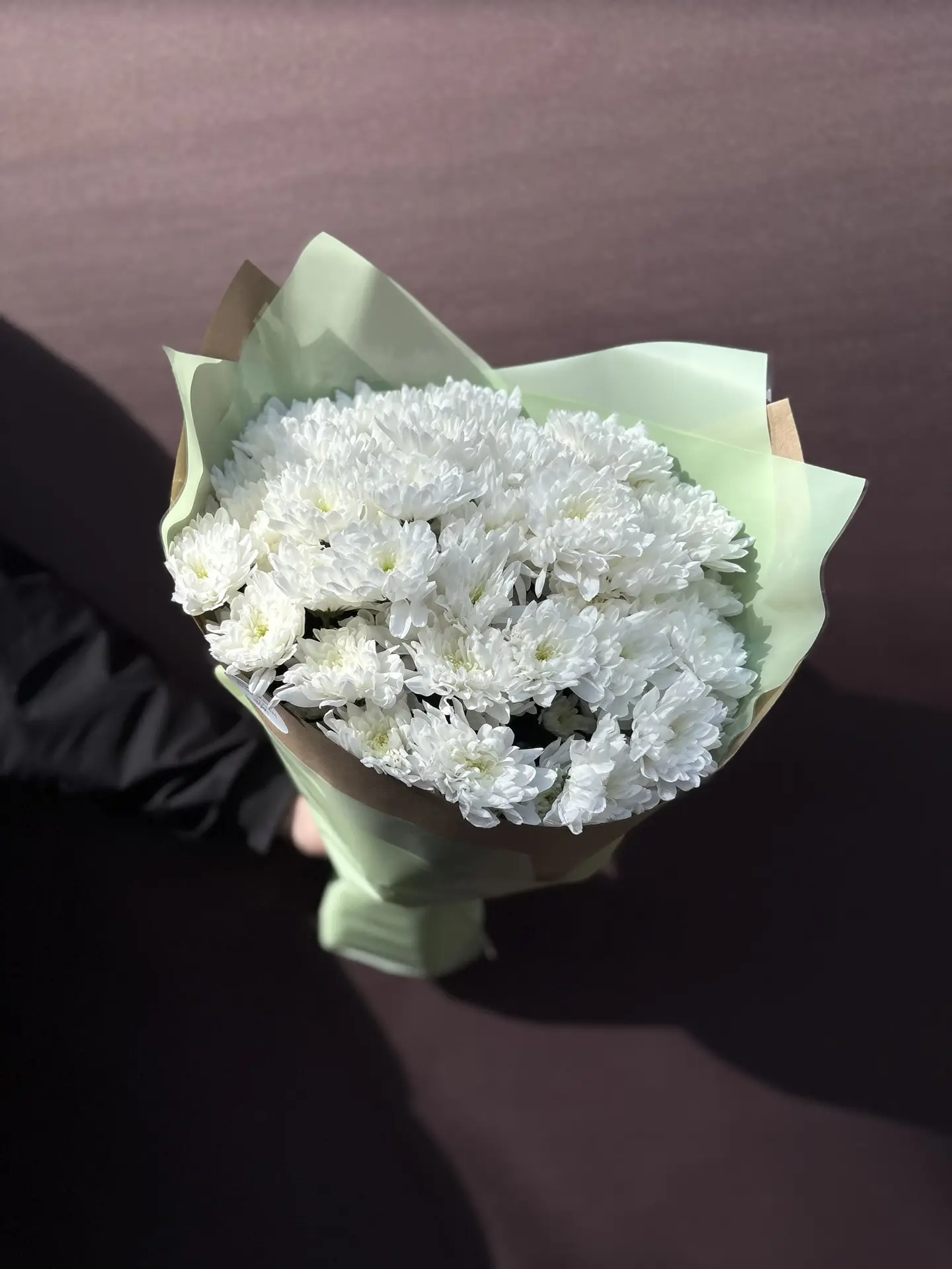 Хризантема