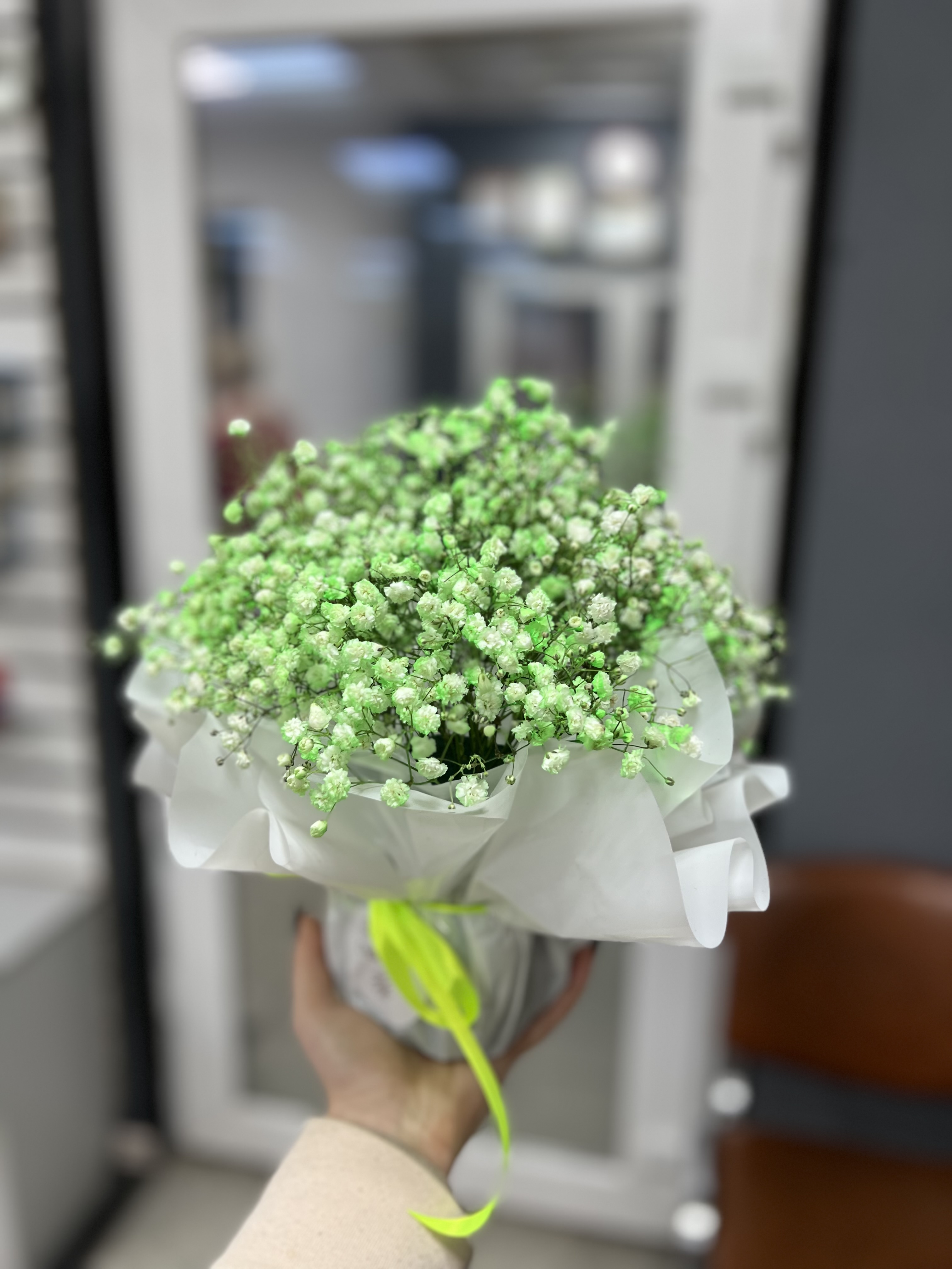 Гипсофила в коробке