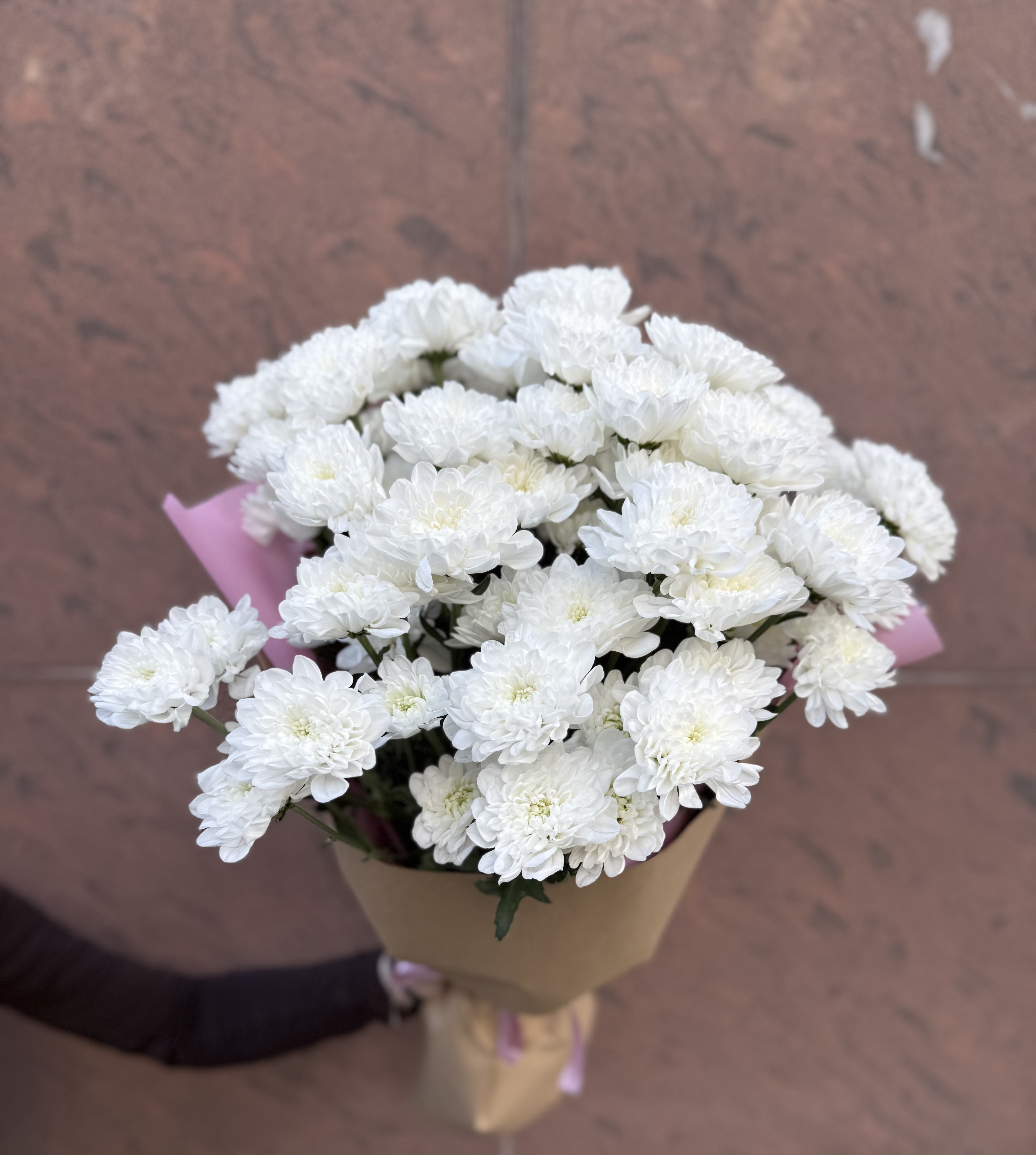 Хризантема