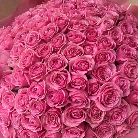 Розовые 101 роза 50 см