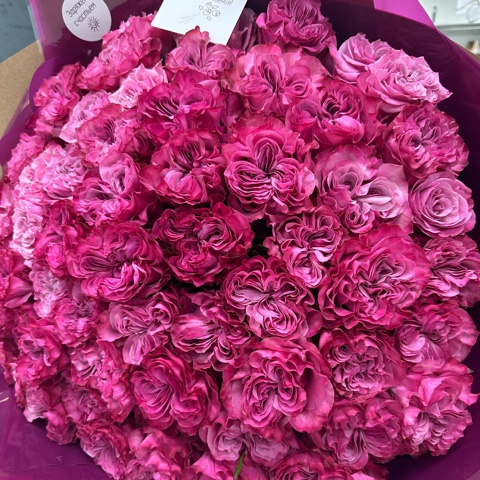 Розовые Эквадор 101 роза 60 см