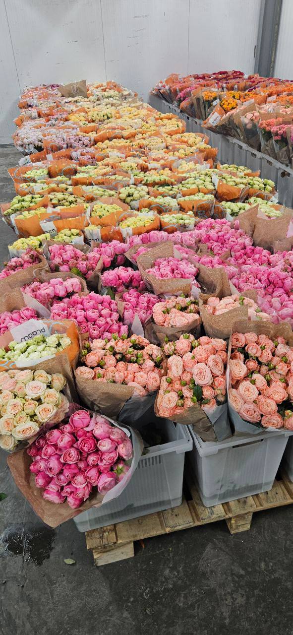 плучаем поставки каждые 2 дня
