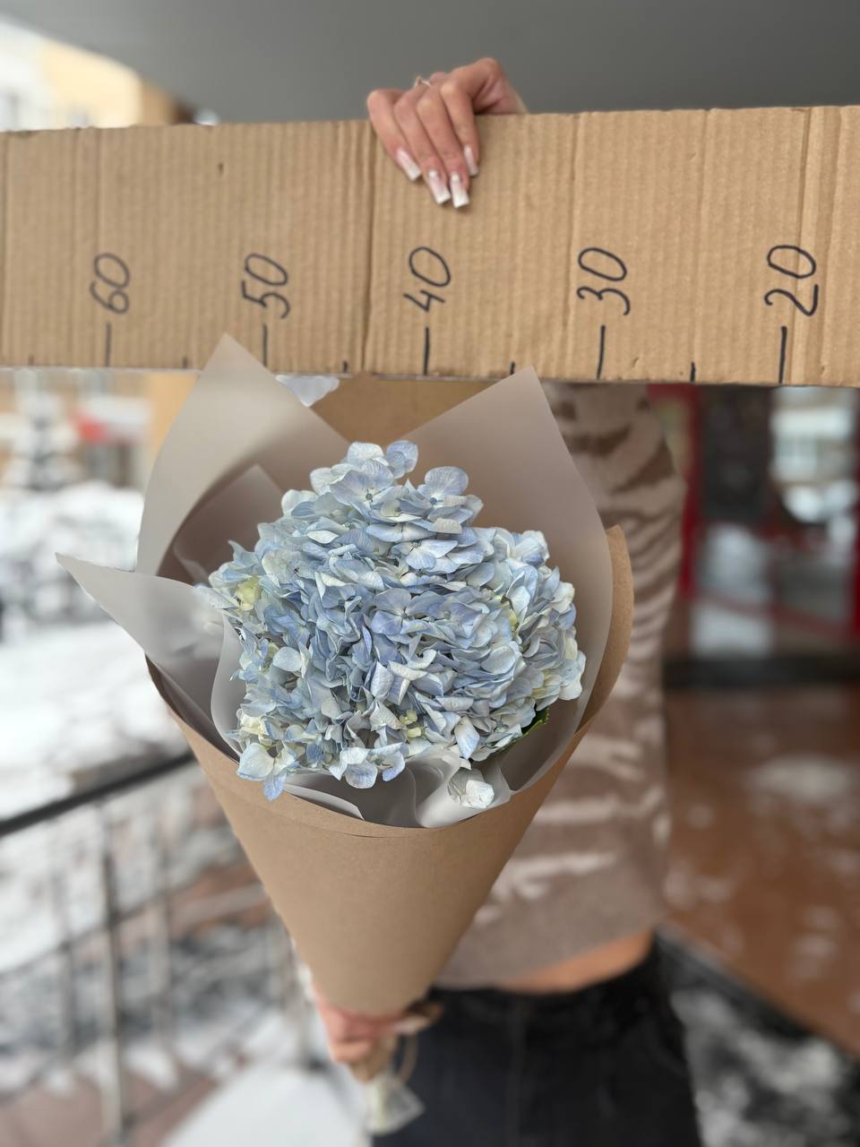 Букет из 1ой гортензии