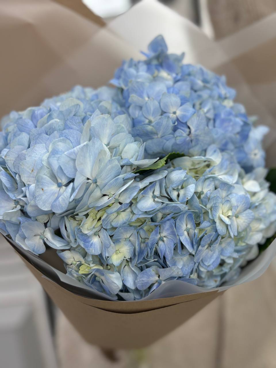 Букет из 3х гортензий