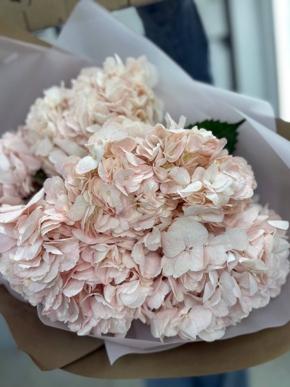 Букет из 5ти гортензий