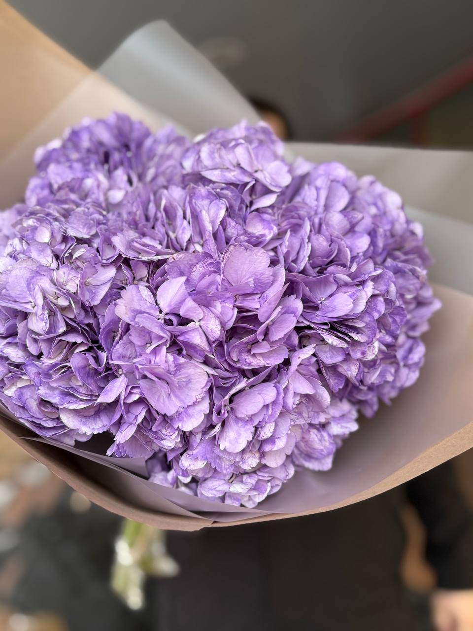 Букет из 5и гортензий