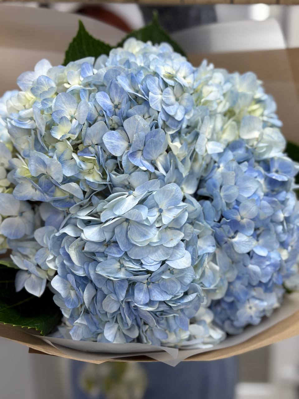 Букет из 5ти гортензий